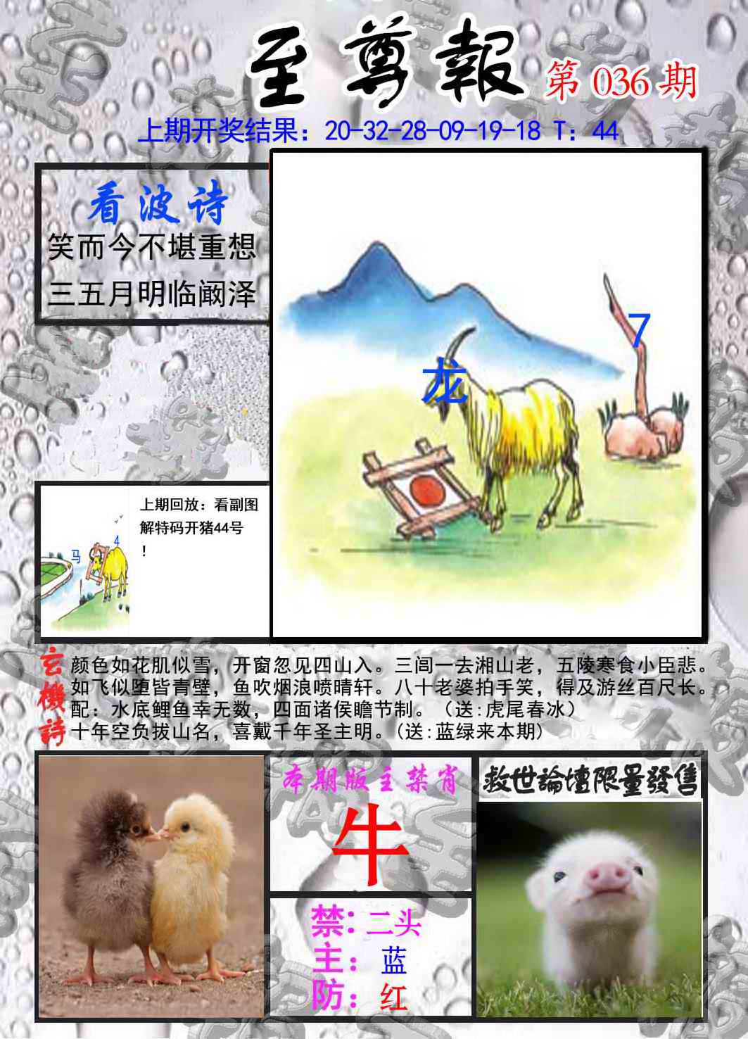 036期至尊报[图]