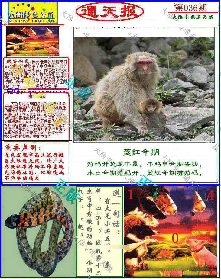036期大陆通天报[图]